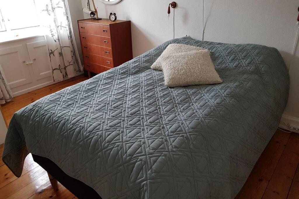 Dejlig Lejlighed Forst For Pa Amager Kopenhag Dış mekan fotoğraf